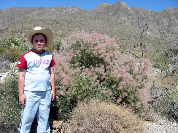 Zdjęcie ze Stanów Zjednoczonych - El Paso - Franklin Mnts.