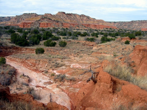 Zdjęcie ze Stanów Zjednoczonych - Palo Duro SP.
