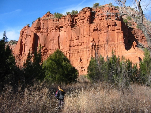 Zdjęcie ze Stanów Zjednoczonych - Caprock Canyons SP.