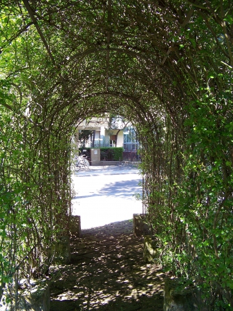 Zdjęcie z Włoch - Cervia