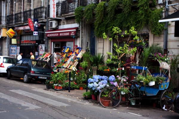 Zdjęcie z Francji - BORDEAUX