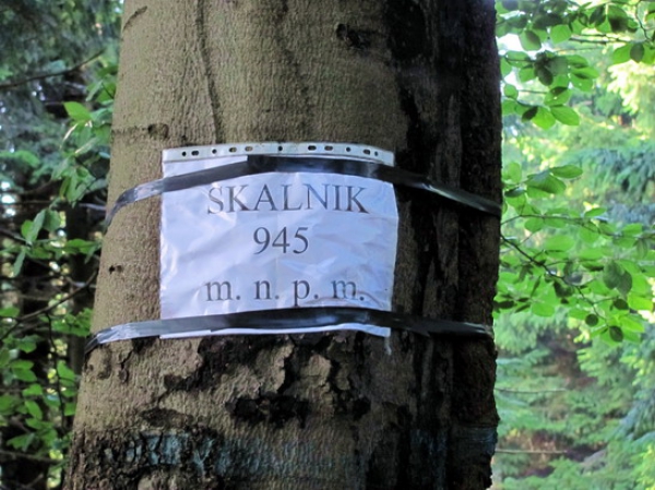 Zdjęcie z Polski - Na najwyższym szczycie...