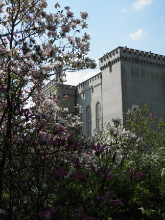 Zdjęcie z Polski - Zamek w magnoliach