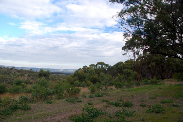 Zdjęcie z Australii - Park Narodowy Onkaparinga