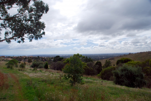 Zdjęcie z Australii - Panorama Adelaidy