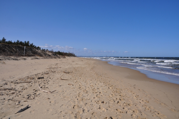 Zdjęcie z Polski - plaża Sobieszewo