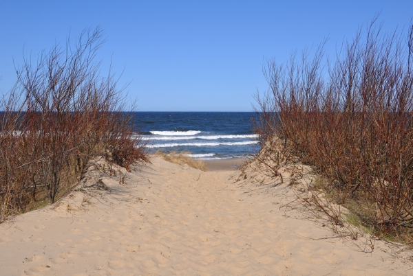 Zdjęcie z Polski - plaża -  Górki Wschodnie