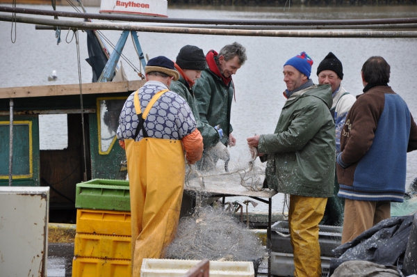 Zdjęcie z Polski - rybacy w porcie rybackim