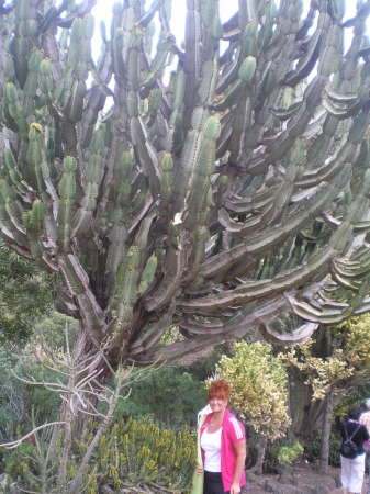 Zdjęcie z Hiszpanii - Gran Canaria