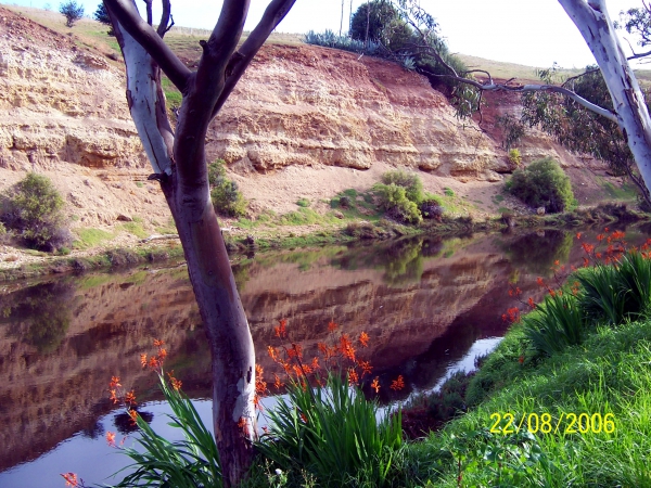 Zdjęcie z Australii - Onkaparinga Gorge