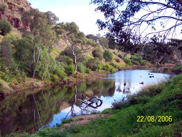 Zdjęcie z Australii - Onkaparinga Gorge