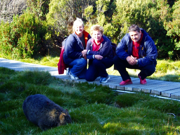 Zdjęcie z Australii - Wombat spotkany przy...