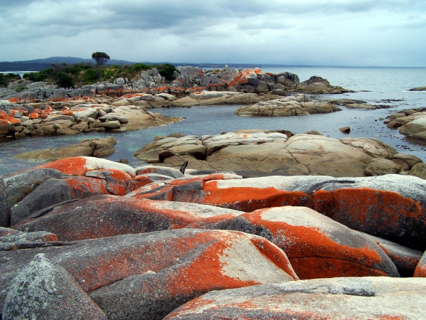 Zdjęcie z Australii - Bay of Fires