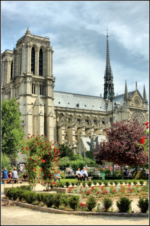 Zdjęcie z Francji - Katedra Notre Dame