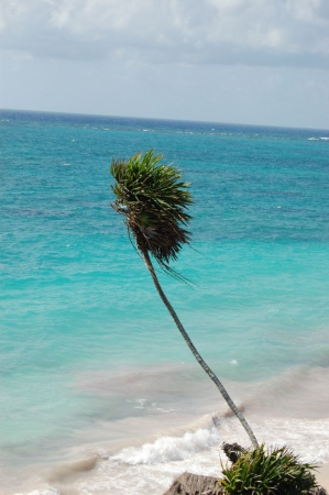 Zdjęcie z Meksyku - Tulum