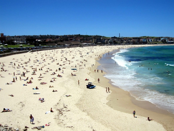 Zdjęcie z Australii - SYDNEY