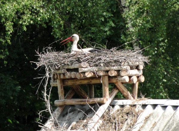 Zdjęcie z Polski - 