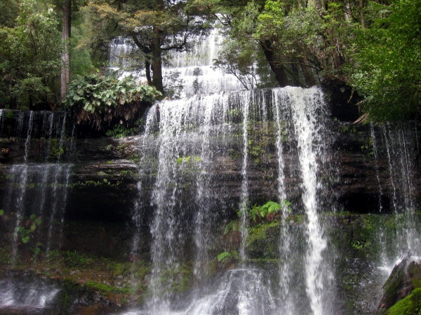 Zdjęcie z Australii - Wodospad Russel Falls