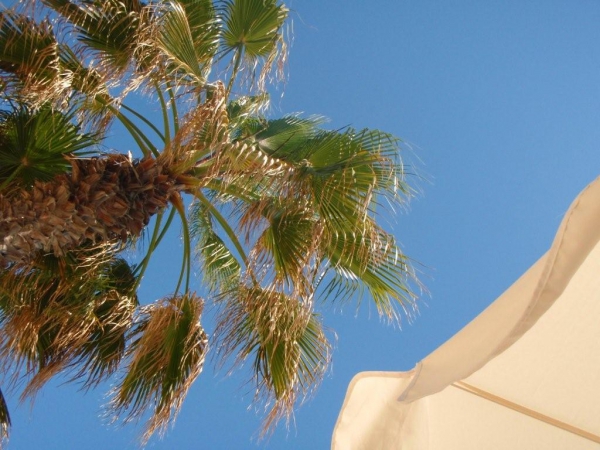 Zdjęcie z Turcji - Club Asteria Belek