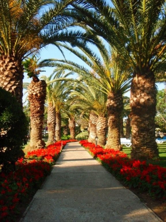 Zdjęcie z Turcji - Club Asteria Belek