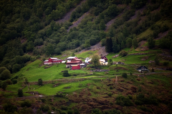 Zdjęcie z Norwegii - Sognafiord