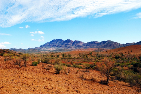 Zdjęcie z Australii - Gory Flinders Ranges