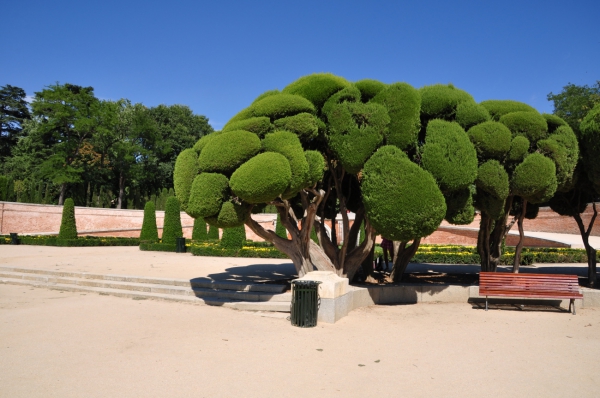 Zdjęcie z Hiszpanii - Park Retiro