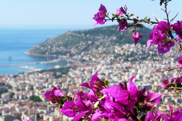 Zdjęcie z Turcji - Alanya