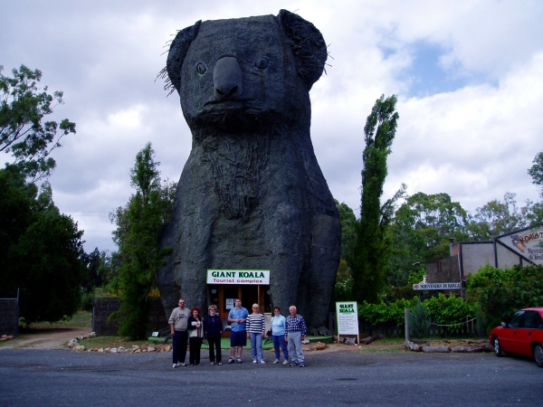 Zdjęcie z Australii - Wielki Koala -sklepik, 