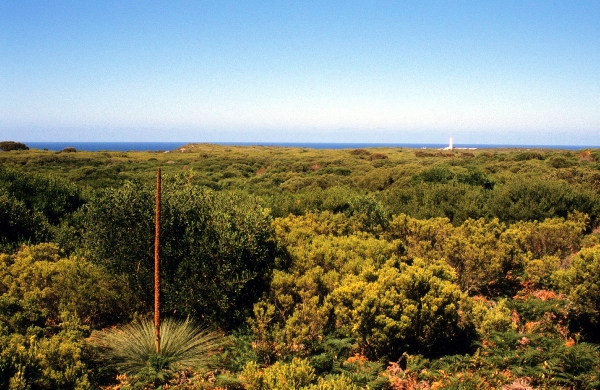 Zdjęcie z Australii - Przyladek Cape Nelson