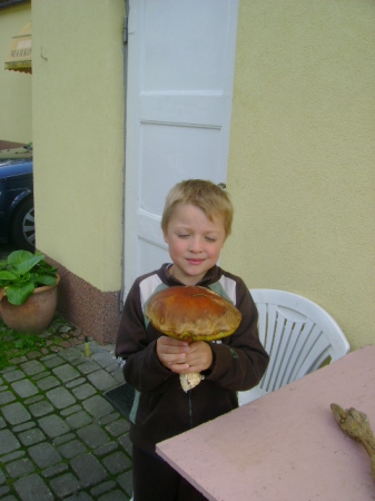 Zdjęcie z Polski - 