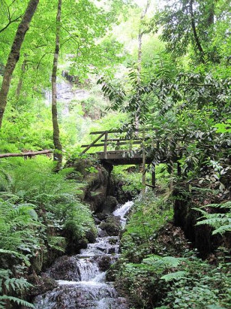 Zdjecie - Wielka Brytania - Canonteign Falls/Devon