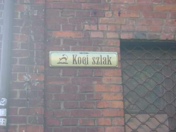 Zdjęcie z Polski - 