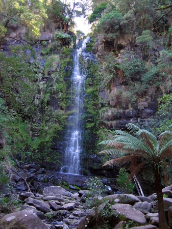 Zdjęcie z Australii - Wodospad Erskine Falls