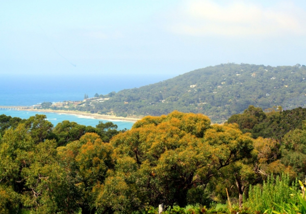 Zdjęcie z Australii - Widok na Lorne