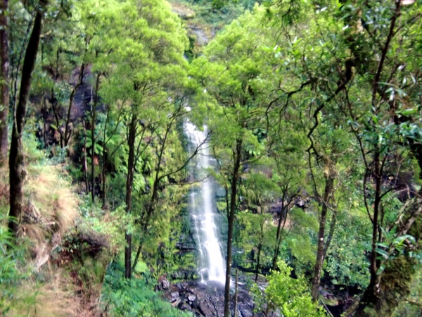 Zdjęcie z Australii - Wodospad Erskine Falls