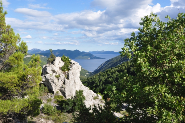 Zdjęcie z Chorwacji - Po drodze do Orebic