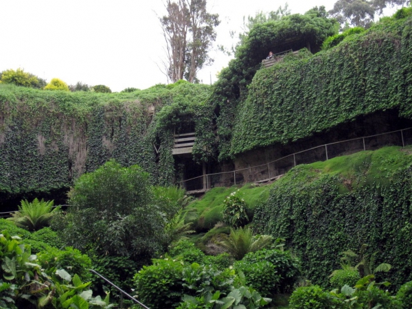 Zdjęcie z Australii - Mount Gambier