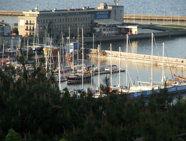 Zdjęcie z Polski - Panorama Gdyni