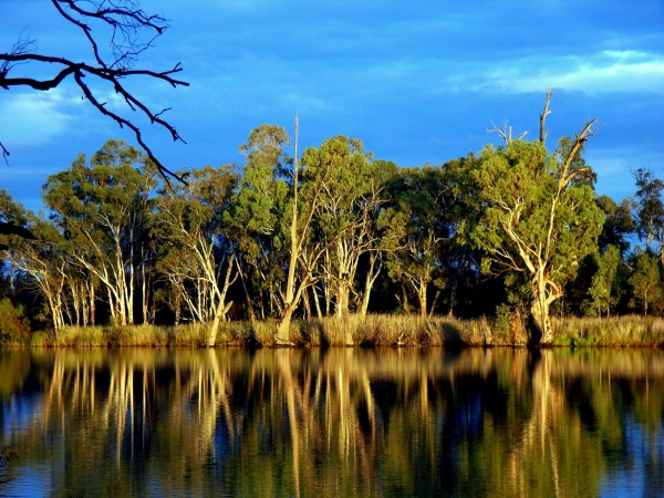 Zdjęcie z Australii - Rzeka Murray River