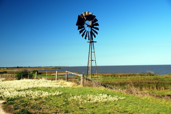 Zdjęcie z Australii - Milang