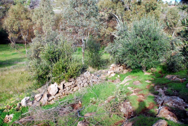 Zdjęcie z Australii - Field River Valley