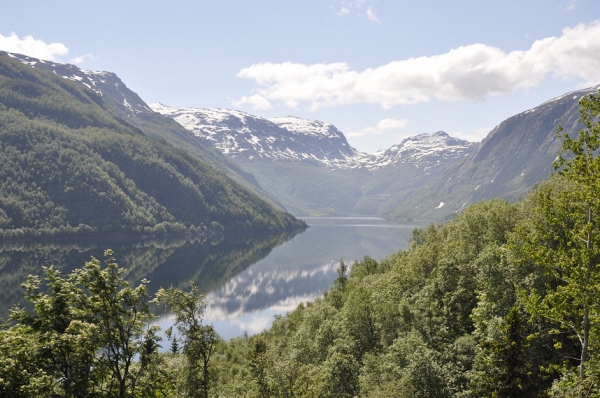 Zdjęcie z Norwegii - 