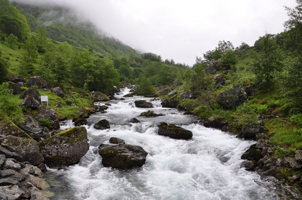 Zdjęcie z Norwegii - 