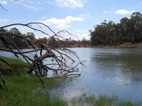 Zdjęcie z Australii - Rzeka Murray kolo Mildura