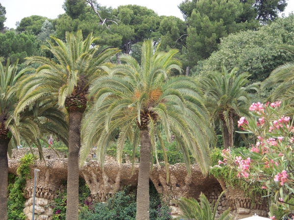 Zdjęcie z Hiszpanii - Park Guell