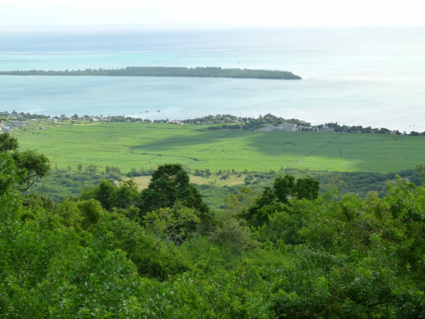 Zdjęcie z Mauritiusa - Ile aux Bénitiers