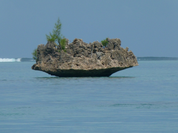 Zdjęcie z Mauritiusa - Ile aux Bénitiers