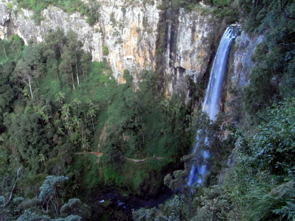 Zdjęcie z Australii - Purlingbrook Falls 