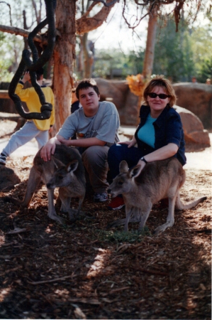 Zdjęcie z Australii - Sesja z kangurami